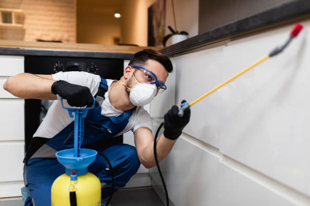 Best Mosquito Control Services  in North Logan, UT