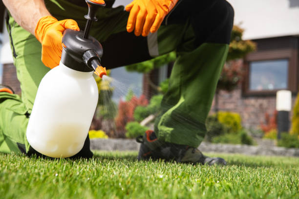Best Best Pest Control Companies  in North Logan, UT