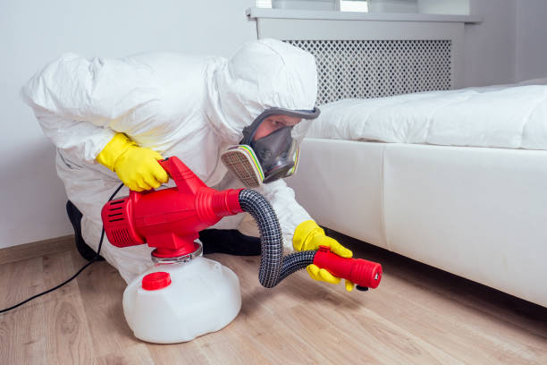Best Pest Inspection Near Me  in North Logan, UT