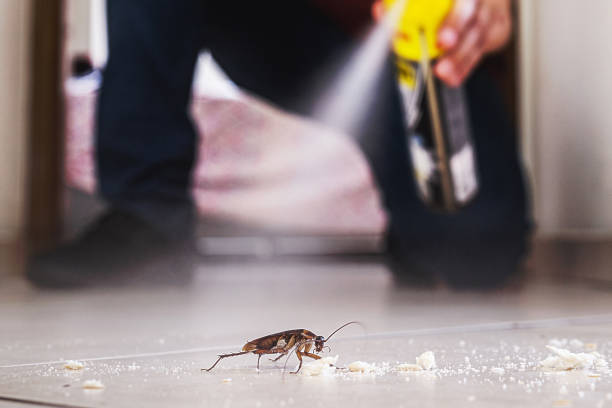 Pest Control Cost in North Logan, UT